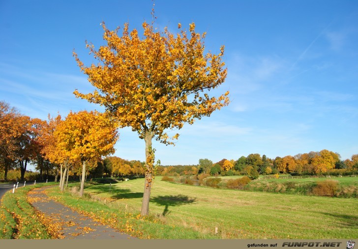 Das Aller Leine Tal Eindrcke vom Herbst in der...