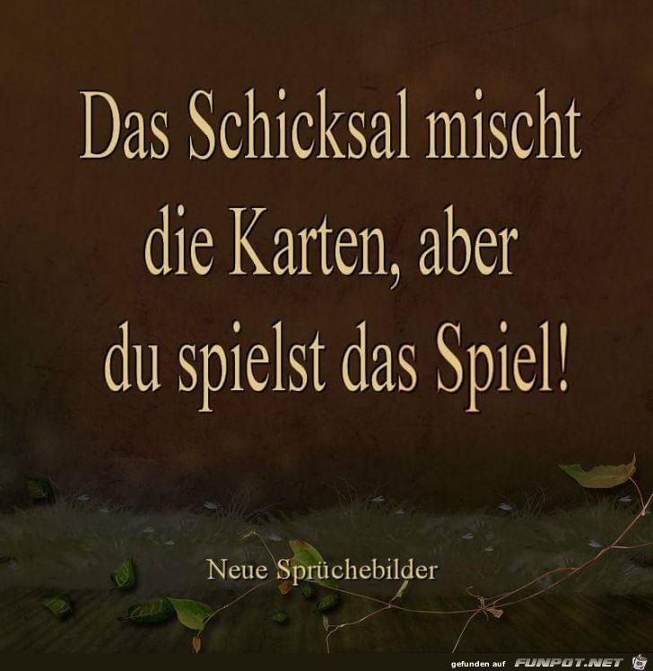 das schicksal mischt das schicksal mischt