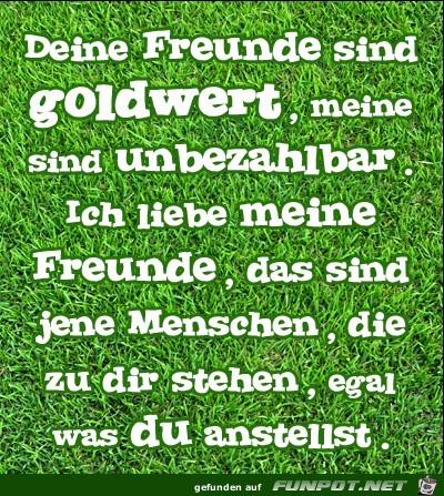 deine Freunde sind goldwert