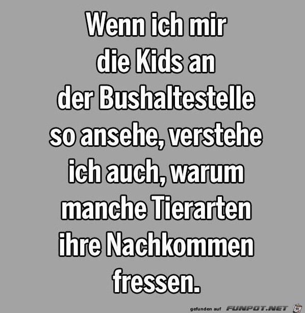 kids kids