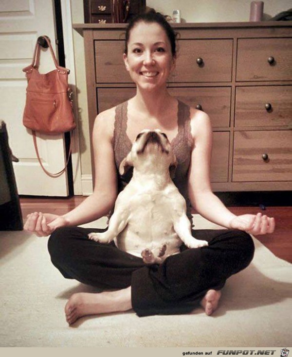Die besten tierischen Yoga-Lehrer und ihre Stellungen!