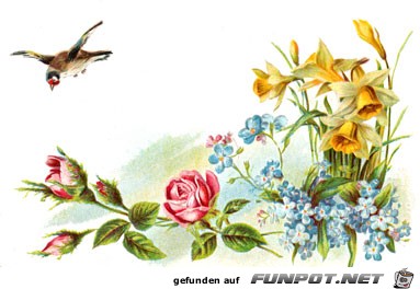 Spring bouquet Spring bouquet