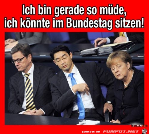 witzige Bilder