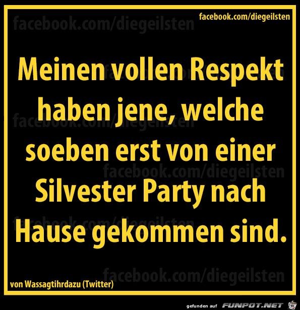 diegeilsten Silvesterparty diegeilsten Silvesterparty