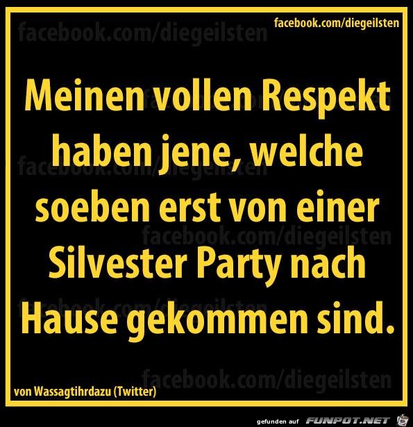 diegeilsten Silvesterparty