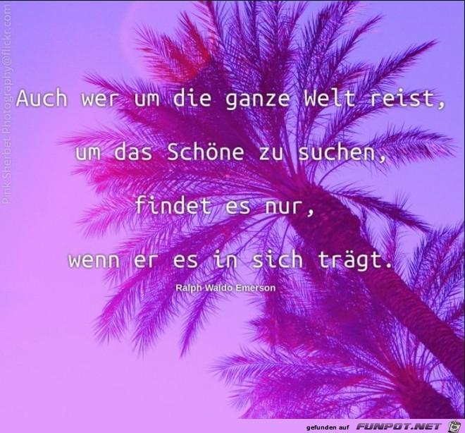 Auch wer um die ganze Welt reist um das schoene zu suchen Auch wer um die ganze Welt reist um das schoene zu suchen
