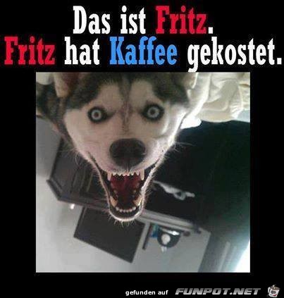 Fritz