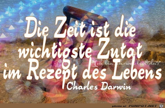 Rezept Rezept