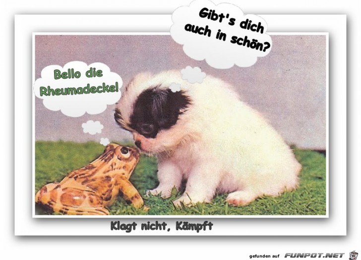 Gibts dich auch Gibts dich auch