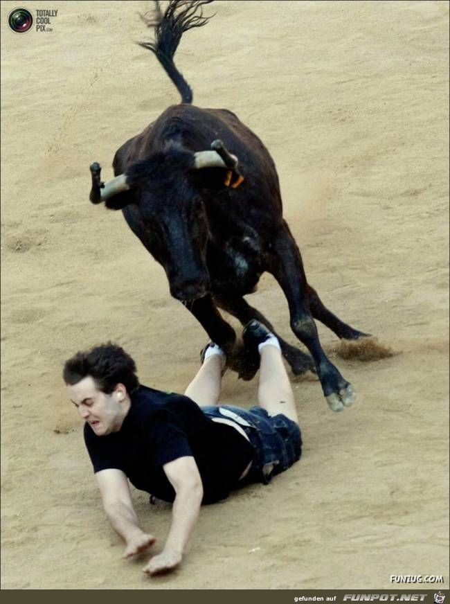 Bulls Brutal Revenge Funzug org 10 Bulls Brutal Revenge Funzug org 10