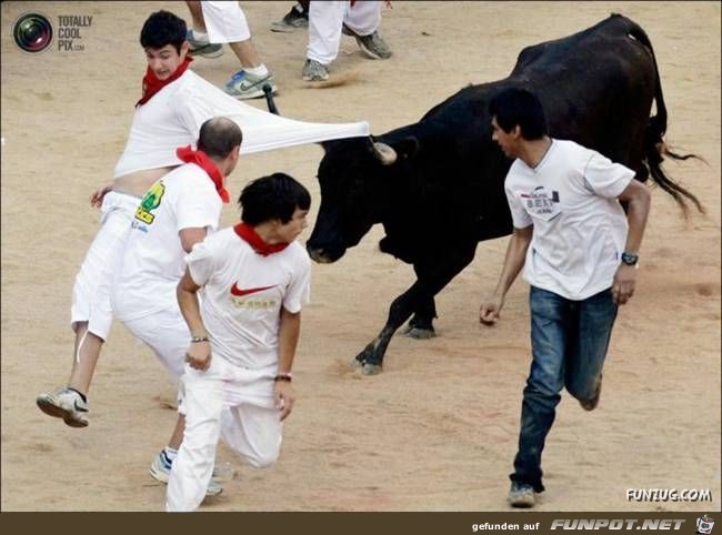 Bulls Brutal Revenge Funzug org 13 Bulls Brutal Revenge Funzug org 13