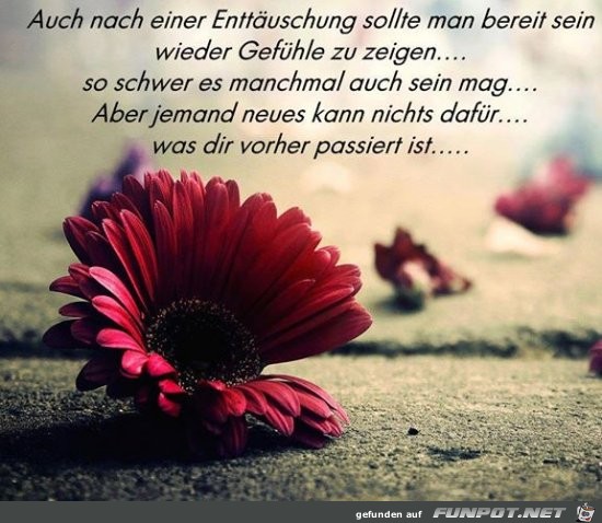 Enttäuschung Enttäuschung