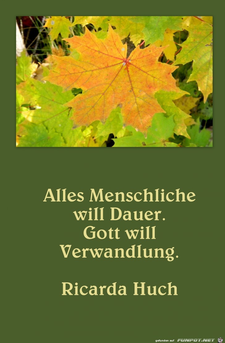 Alles Menschliche