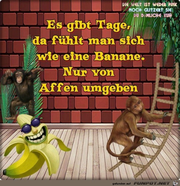 es gibt tage es gibt tage