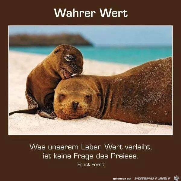 Wahrer Wert