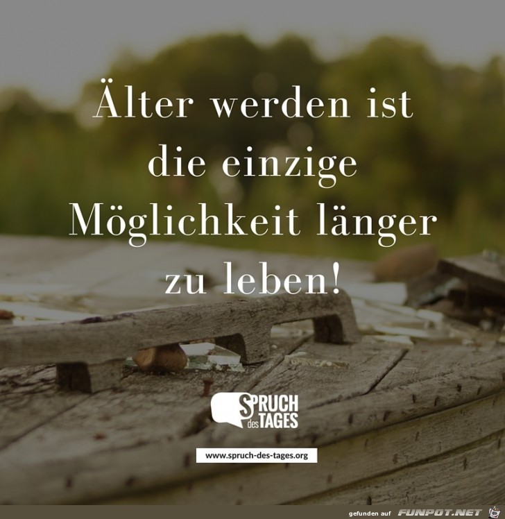 aelter-werden- aelter-werden-