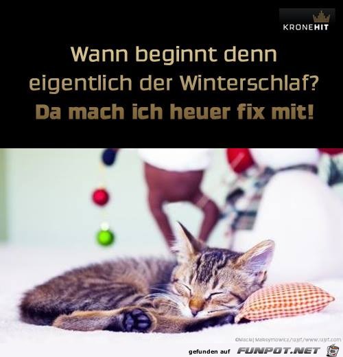 Wann beginnt der Winterschlaf