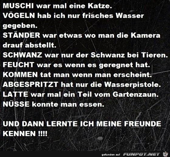 Freunde Freunde