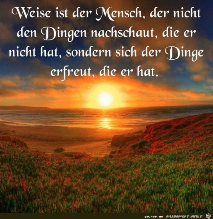 Weise ist der Mensch, der...