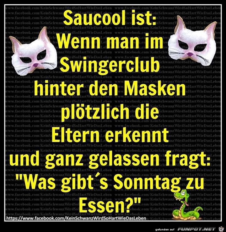 Saucool Saucool