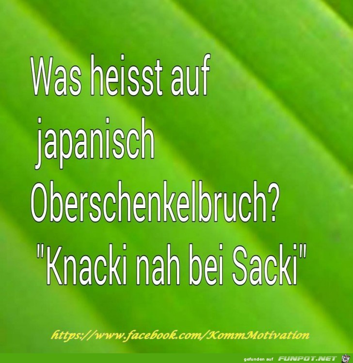 Japanisch