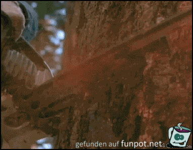 gif Chuck-Norris-stops-Stihl gif Chuck-Norris-stops-Stihl