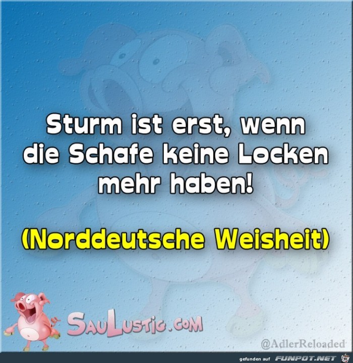 Sturm-ist-erst