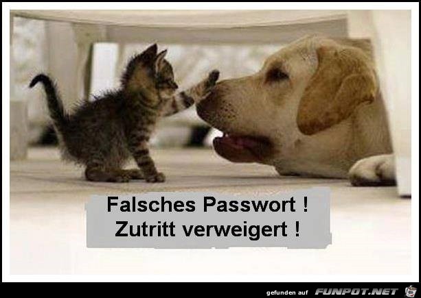 verweigert verweigert