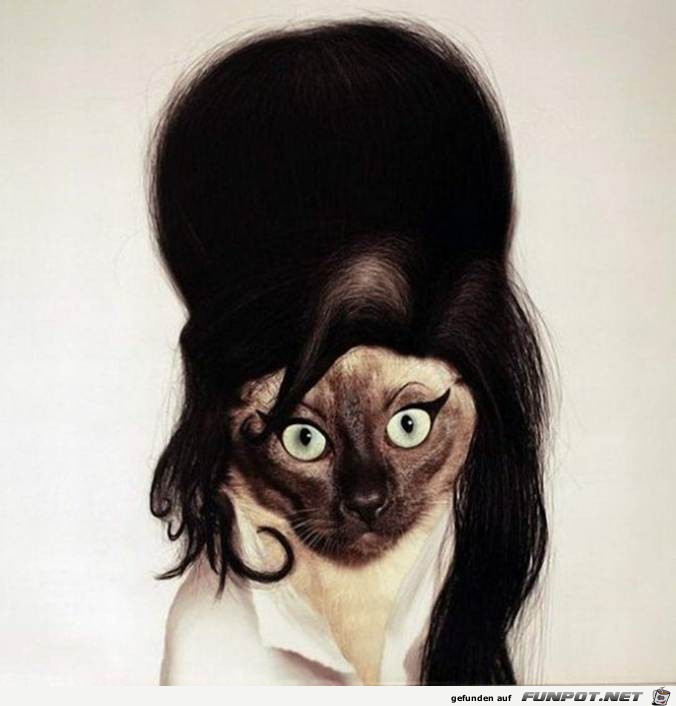Amy Winehouse Amy Winehouse
