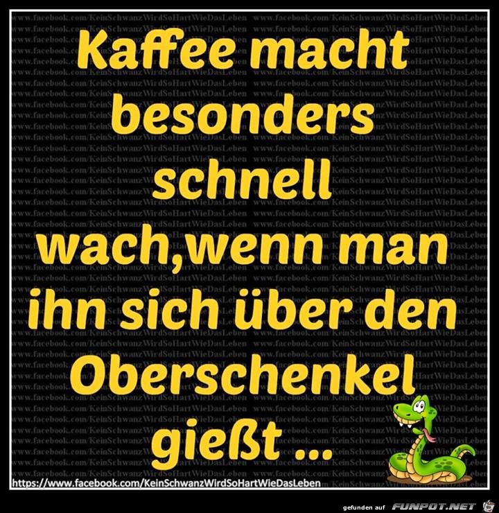 Wach Wach