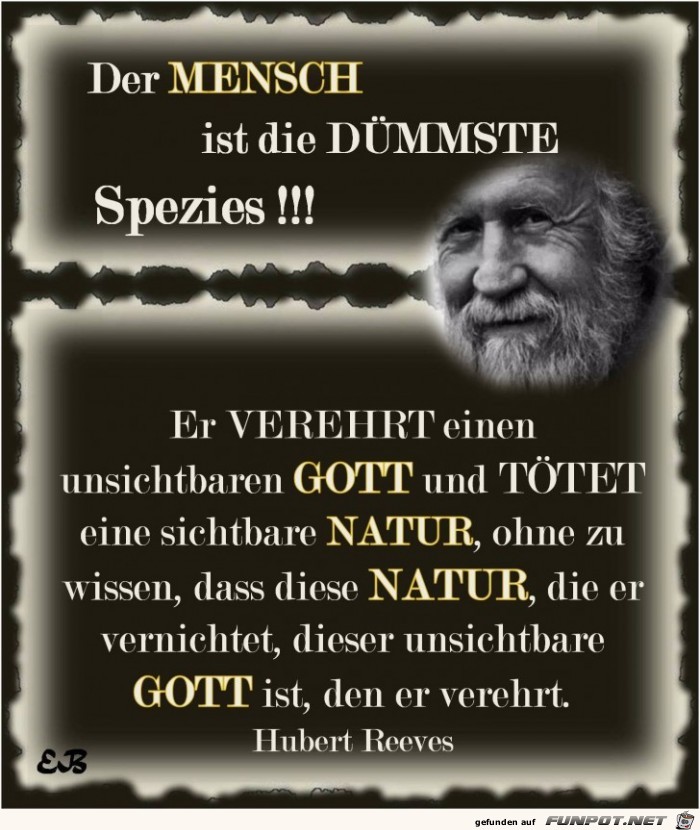 der mensch ist der duemmste