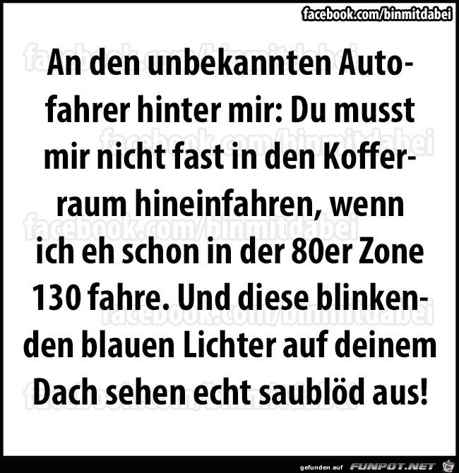 Autofahrer