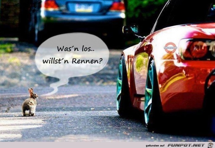 wasn-los wasn-los