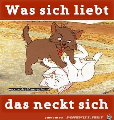 Was sich liebt Was sich liebt