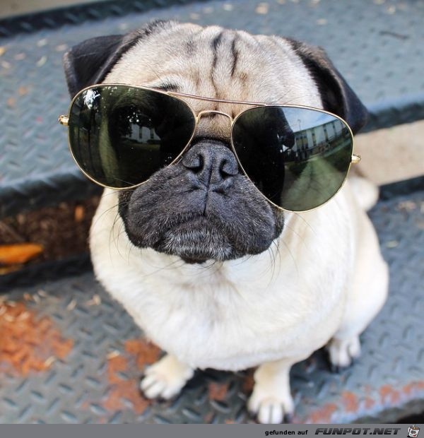 It's cool man It's cool man