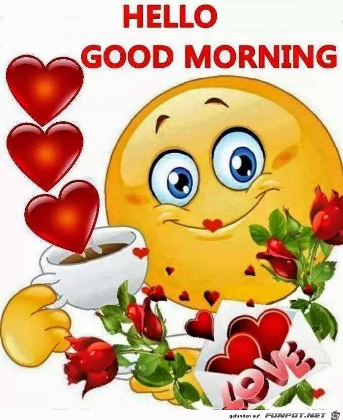 Hello Good Morning Hello Good Morning