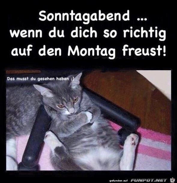 sonntagabend sonntagabend