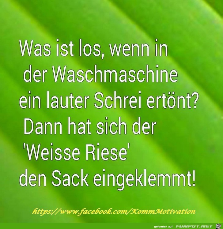 Waschmaschine