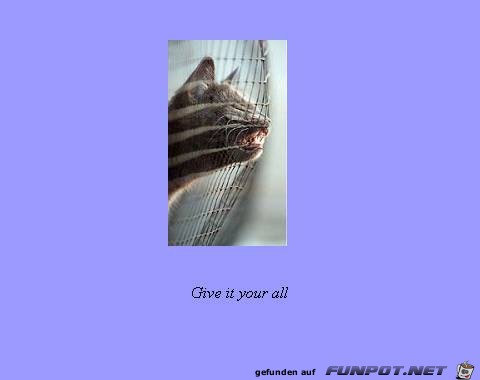 Give it your all Give it your all