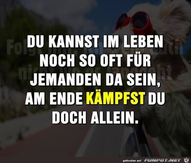 Kaempfen