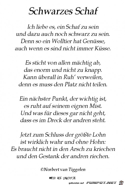 schwarzes schaf schwarzes schaf