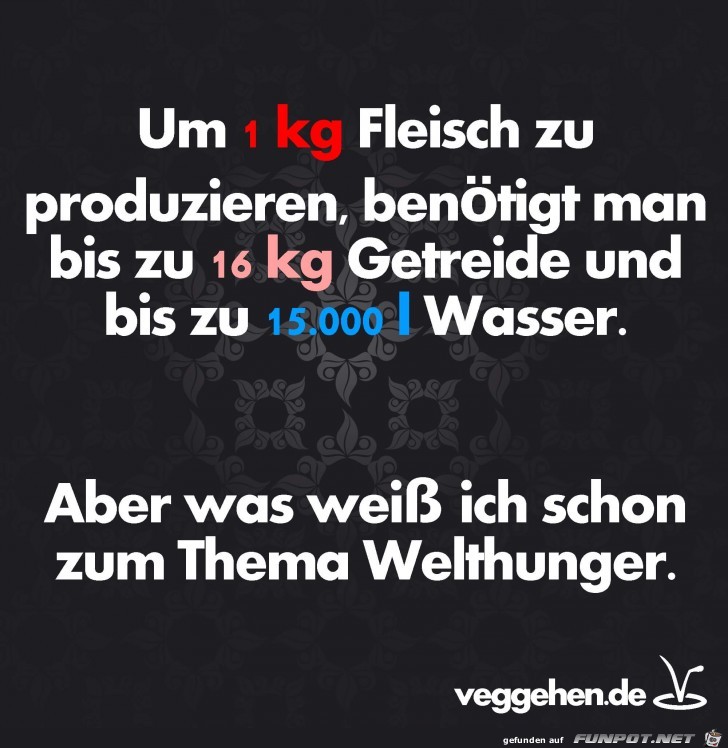 welthunger welthunger
