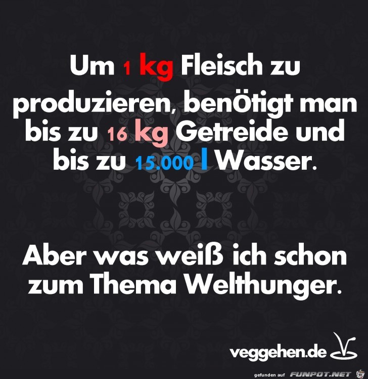 welthunger