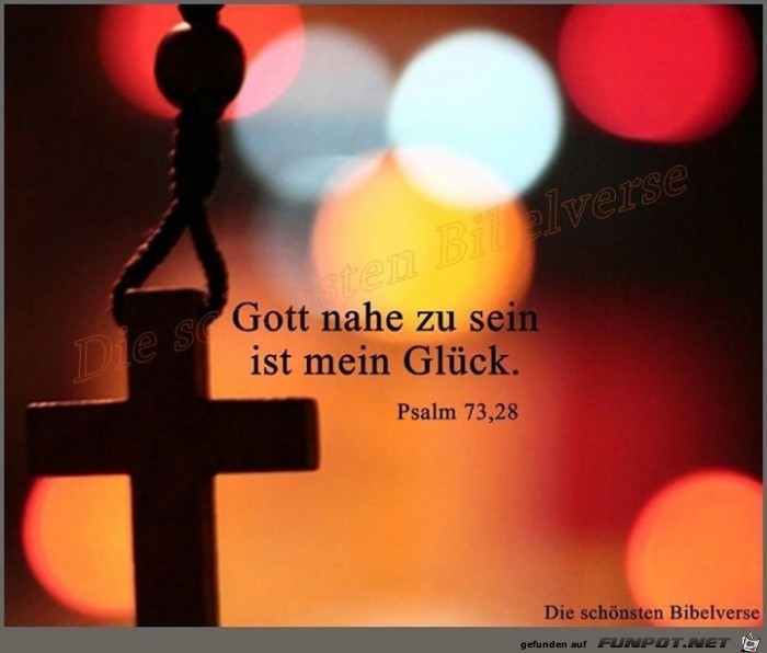 Psalm 73 28