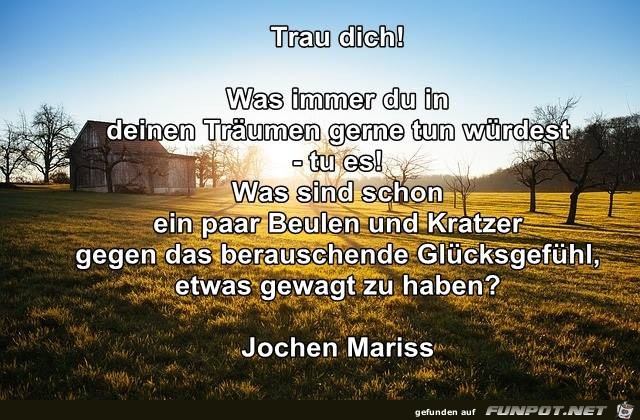 trau dich trau dich