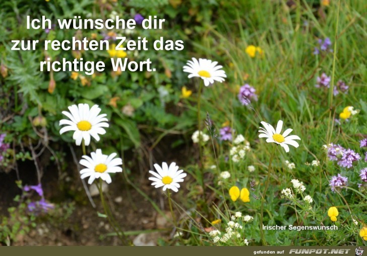 ich wuensche dir zur rechten zeit ich wuensche dir zur rechten zeit