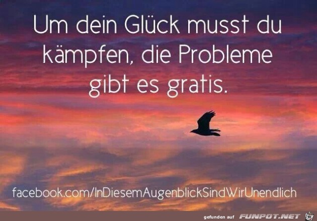 die Probleme die Probleme