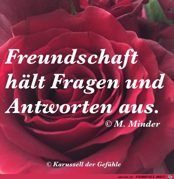 Freundschaft haelt Freundschaft haelt