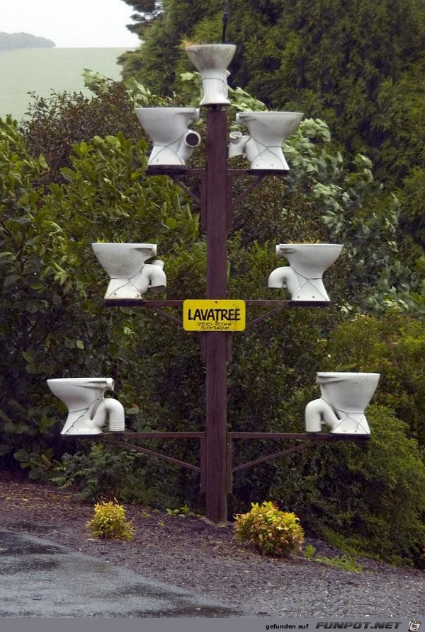 Lavatree Lavatree