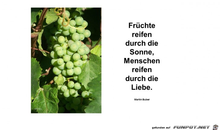 fruechte reifen